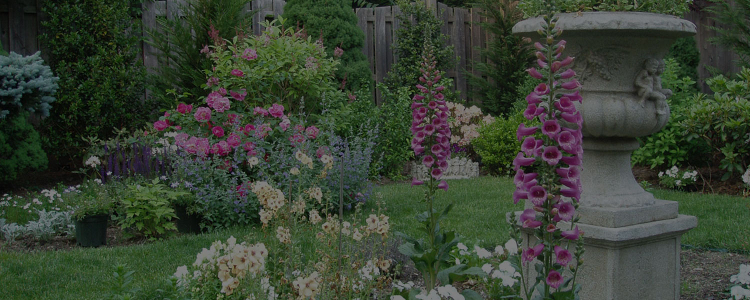 Contact us today for your outdoor landscaping needs