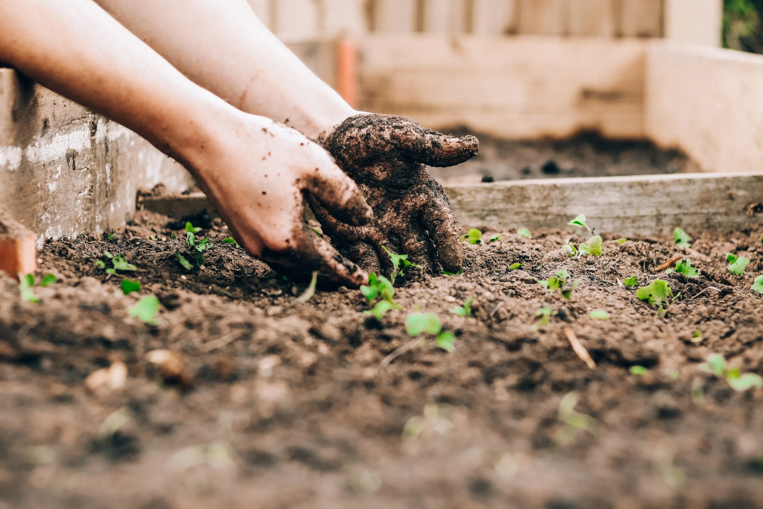 Landscaping on a Budget: DIY Projects for a Stunning Outdoor Space